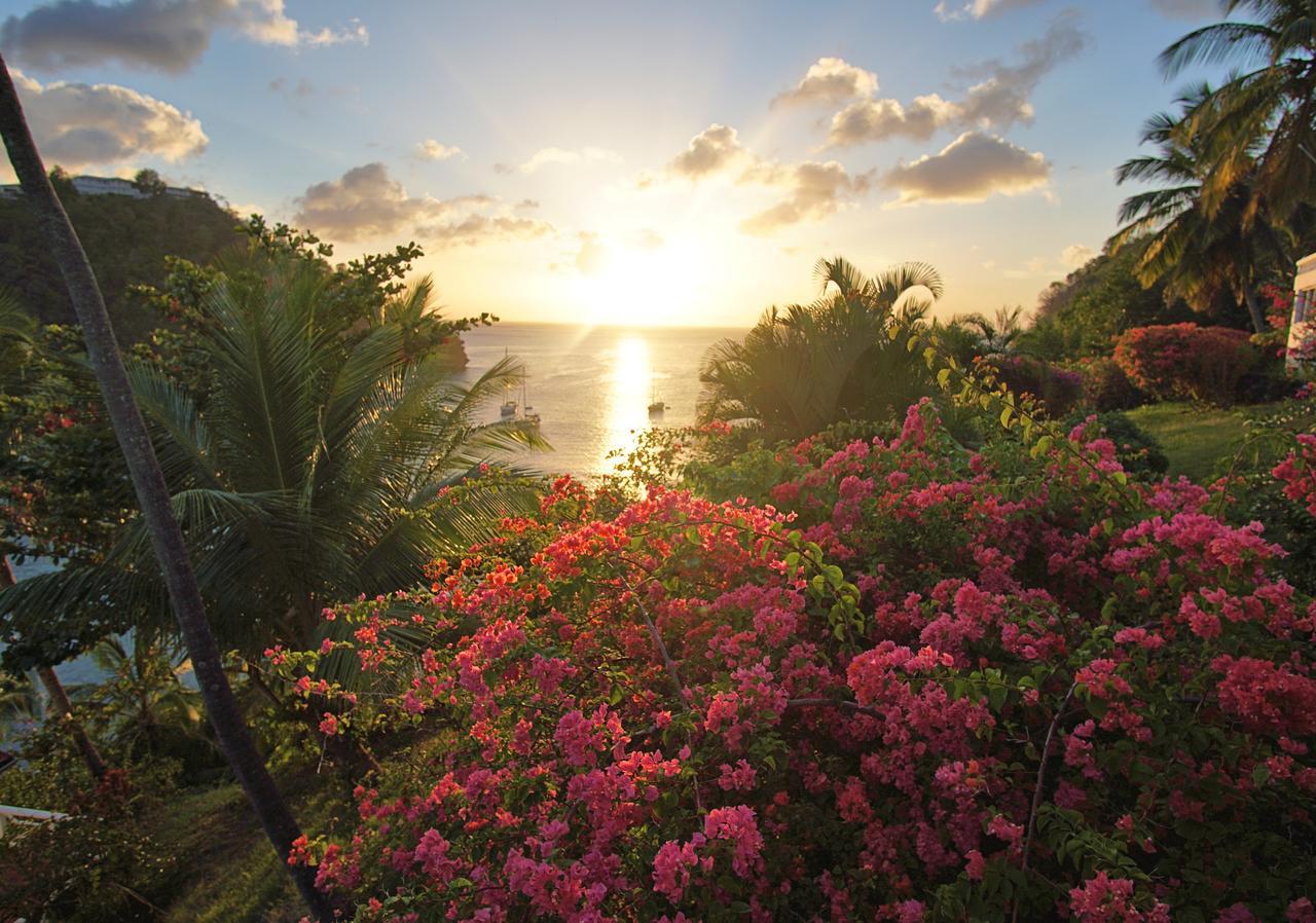 Marigot Beach Club & Dive Resort Exteriör bild